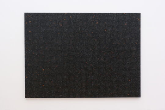 Julia Schewalie: Oily Tiles