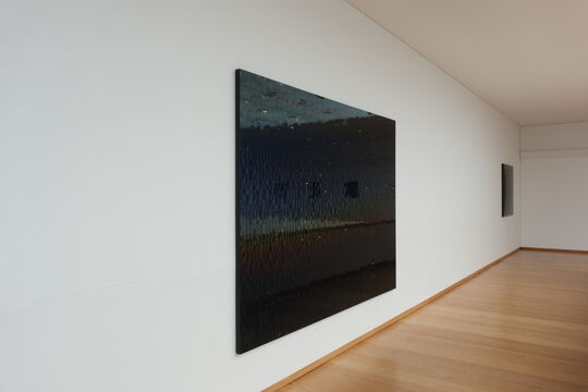 Julia Schewalie: Disk Black Landscape